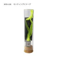 ゴムブレスレット(セール)